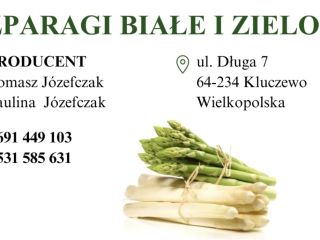 Sprzedam szparagi białe w ilościach hurtowych