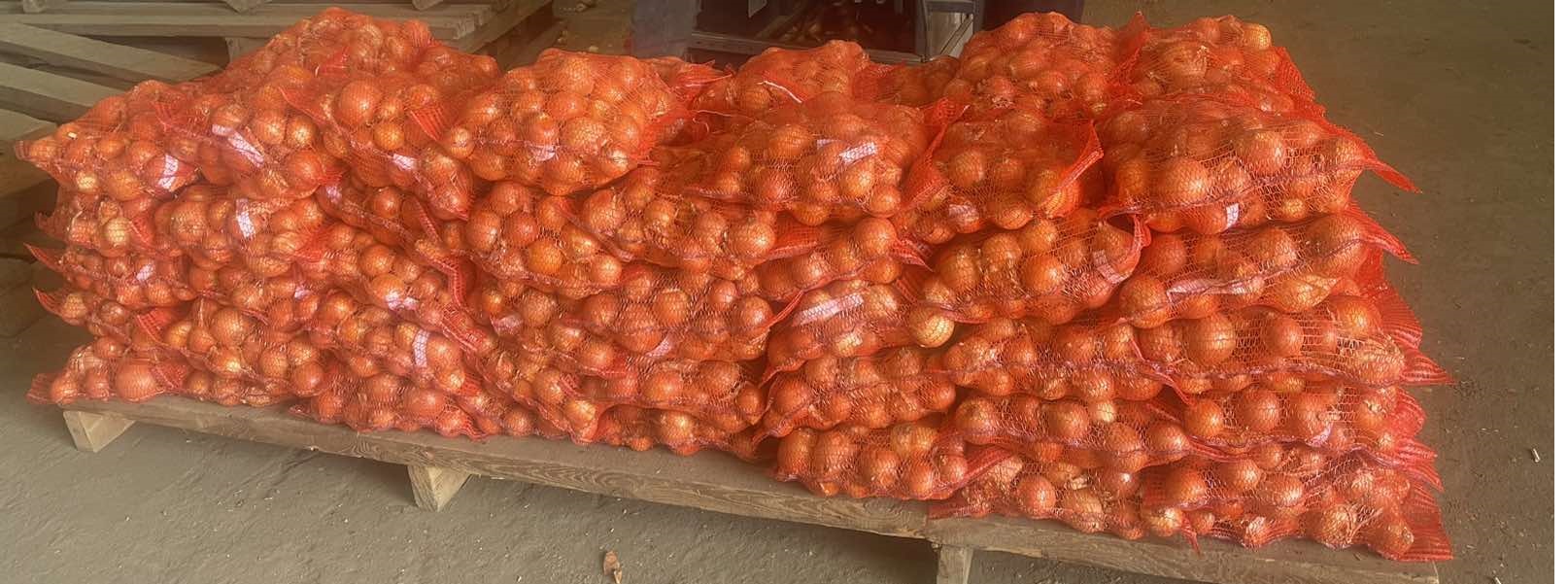 Sprzedam żółtą cebulę bezpośrednio od producenta