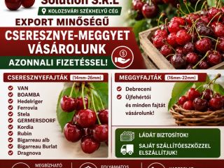 Firma z Klużu-Napoki poszukuje dużych ilości wiśni na sezon
