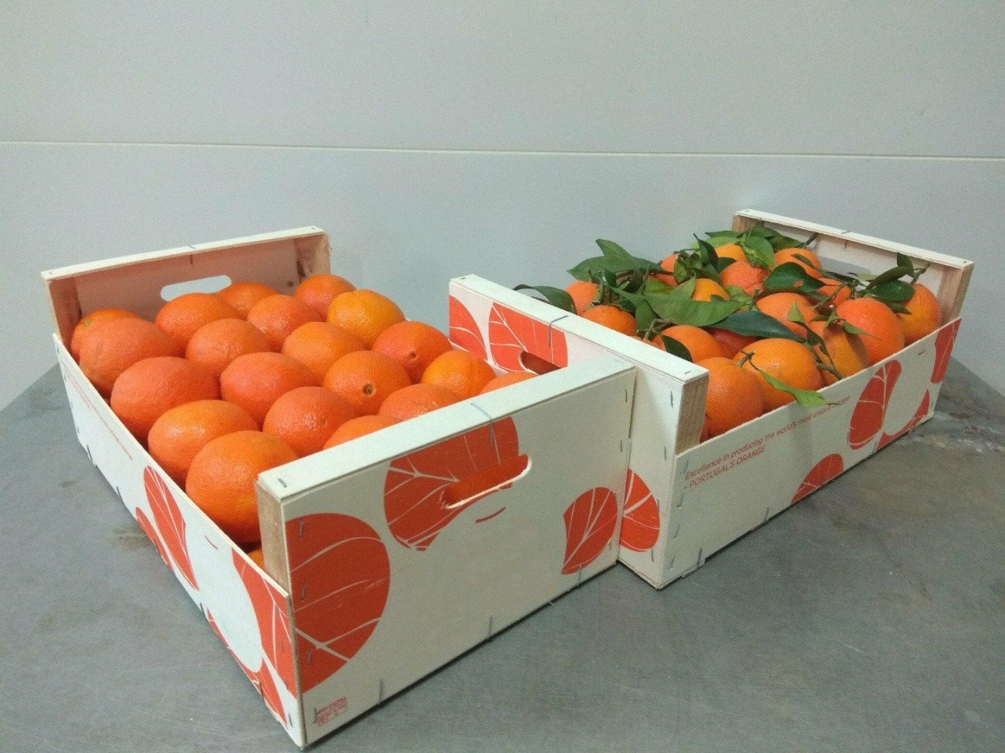 Sprzedam pomarańcze klasy extra, kraj pochodzenia Portugalia, duże ilości