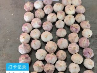 大家好，我们是中国山东的大蒜和姜批发商，现在寻找波兰的合作伙伴，我们产期出口到迪拜和日本，韩国。欢迎联系我们波兰的负责人：李先生。电话： . 邮箱：