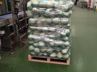 Zbiór 2025. Obrane, pakowane w worki 15 kg.