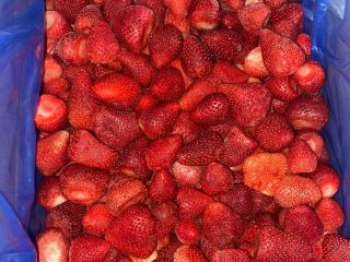 Firma Ezar Frozen Foods Europe (branch office producenta z