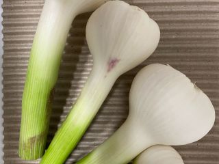Świeżo zebrane, potencjał 50-70, z łodygą, oczyszczone, gotowe do