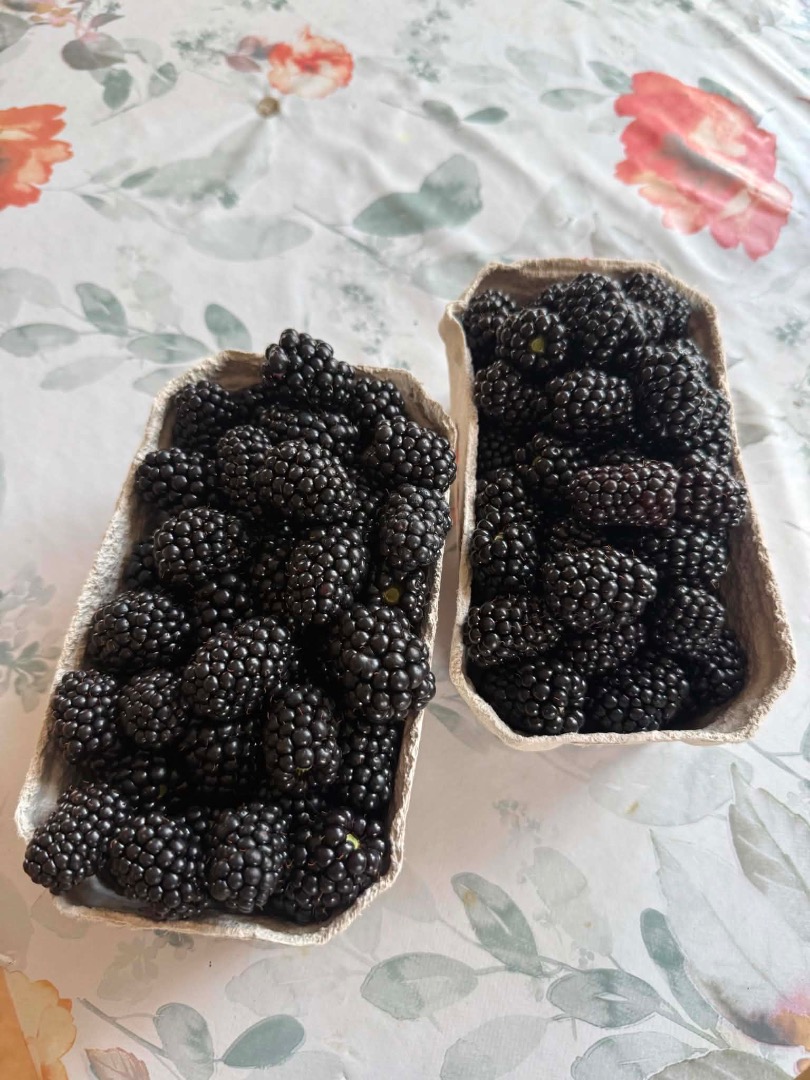 Witam ma na sprzedam się jeżyny zapraszam do kontaktu