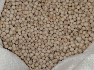 Ciecierzyca w workach 50kg, wyselekcjonowana 800kg na skałach