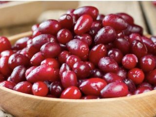 Zapraszam do zakupu owoców derenia. Owoce produkowane są naturalnie