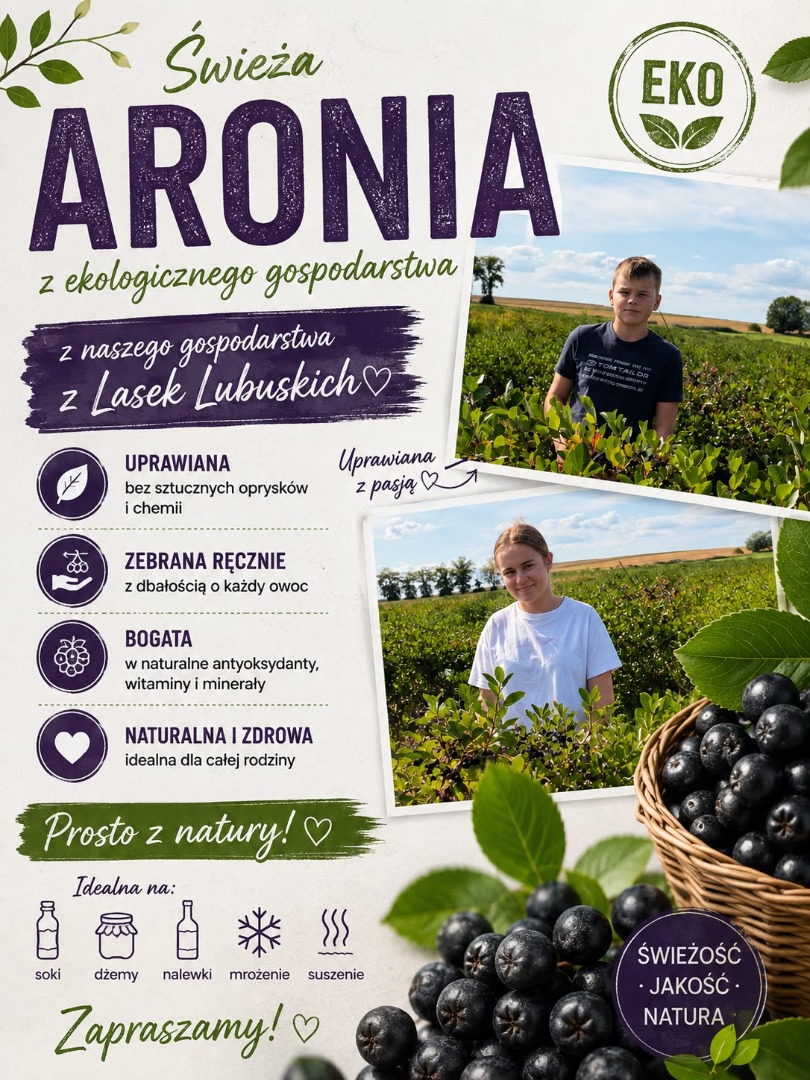 Aronia do odbioru bezpośrednio po zbiorze około 20 ton z plantacji , jednorazowy zbiór 5 ton już 15 sierpnia