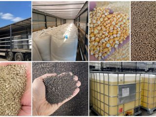 PRODOTTI AGRICOLI DALL’UCRAINA – COLLABORAZIONE CONTINUATIVA Cerchiamo importatori e