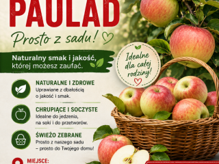 Oferuję świeże, soczyste i chrupiące jabłka odmiany Paulad –