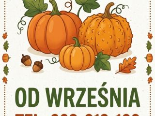 Co oferujemy w sprzedaży hurtowej (dostępność od września): •