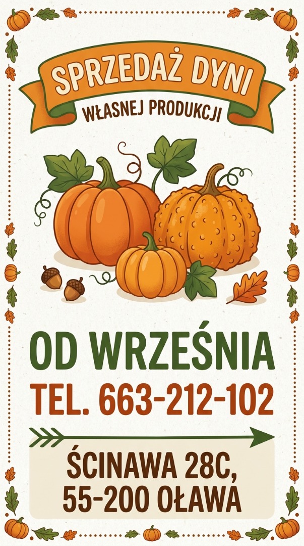 Co oferujemy w sprzedaży hurtowej (dostępność od września): • Dynia jadalna / spożywcza (m.in