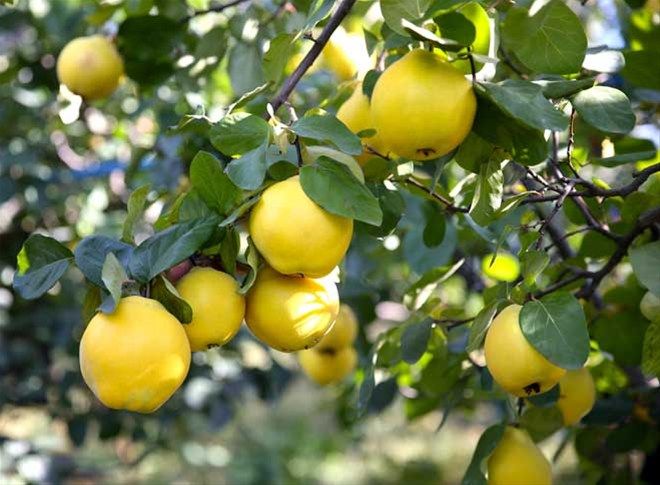 Produkty przygotowywane są specjalnie dla każdego kupującego