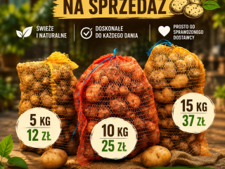 Ziemniaki pochodzą z ekologicznej uprawy bez nawozów. Przy większej