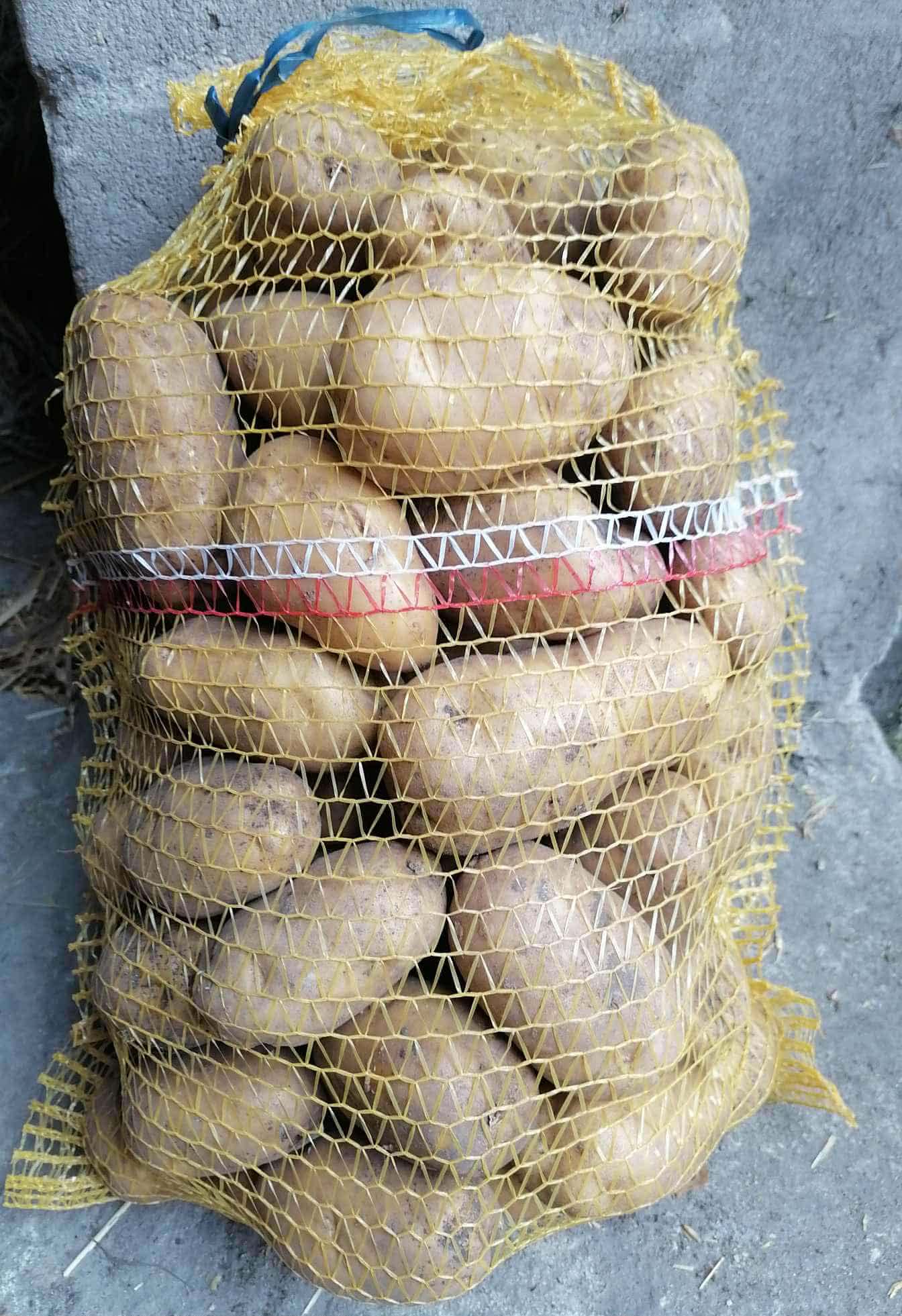 Witam sprzedam ziemniaki jadalne odmiana gala.cena 1,40 zł za kg