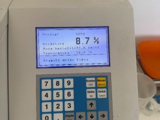 Produkcja sorgo białego 2026, czyste, suche, bardzo dobre analizy