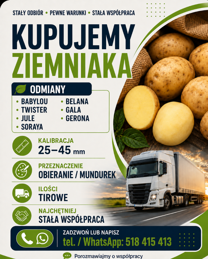 Kupię ziemniaki w kalibracji 25-45 mm Odmiany: Baby Lou, Twister, Jule, Soraya, Belana, Gala, Gerona Interesują mnie ilości tirowe, najlepiej pod stałą