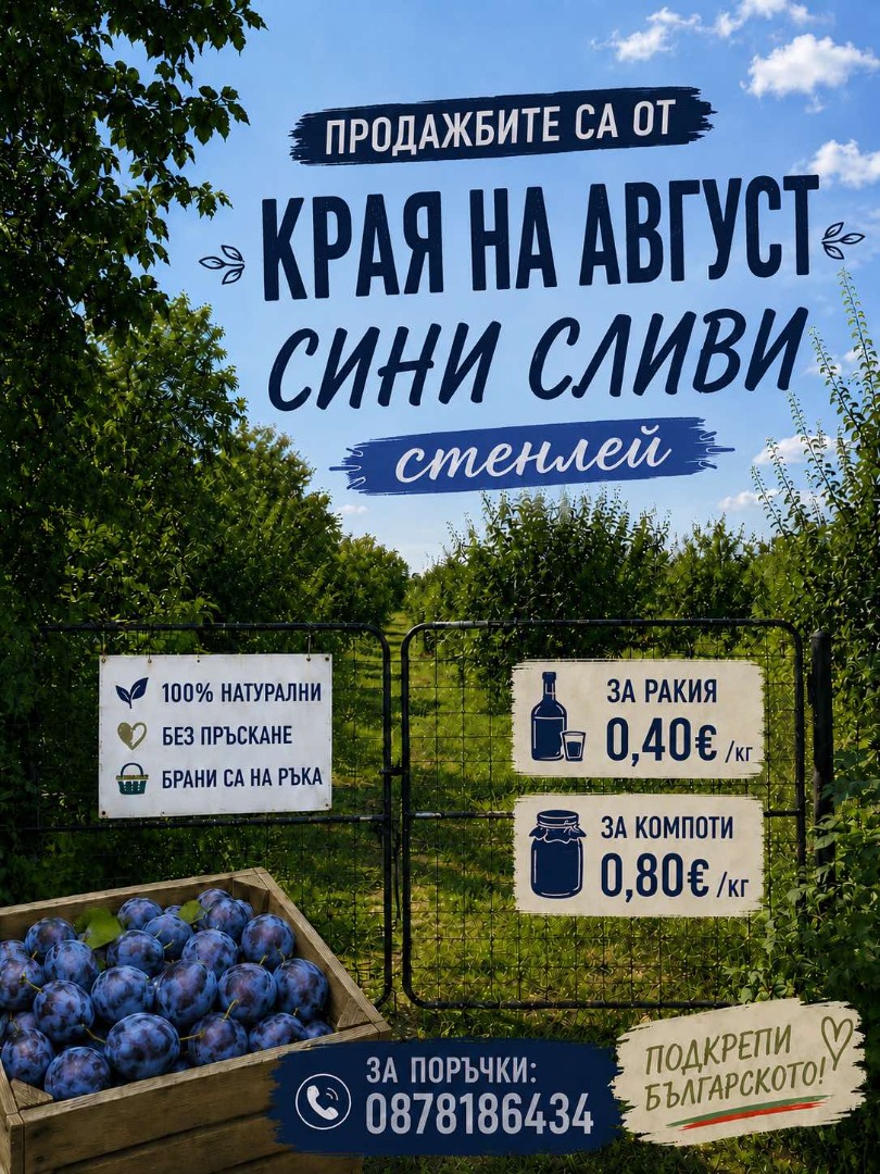 Śliwki Stanley