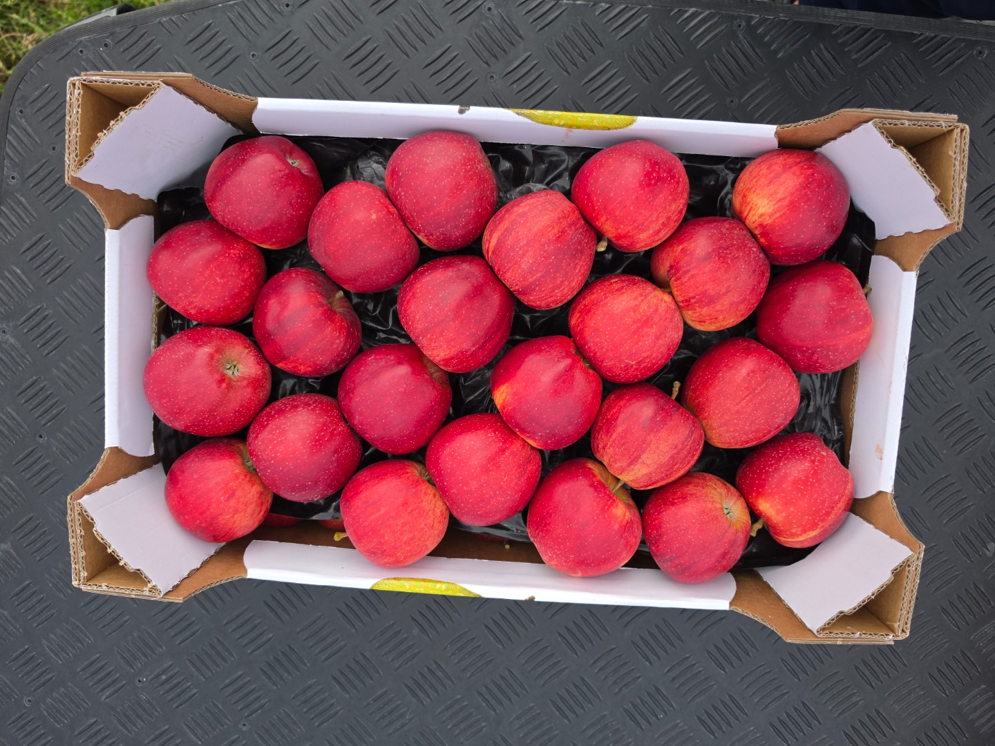 We will sell Gala Golden Pinova Jonaprince Jonagored Idared Najdared Ligol Champion Boscop apples and Pear Conferences