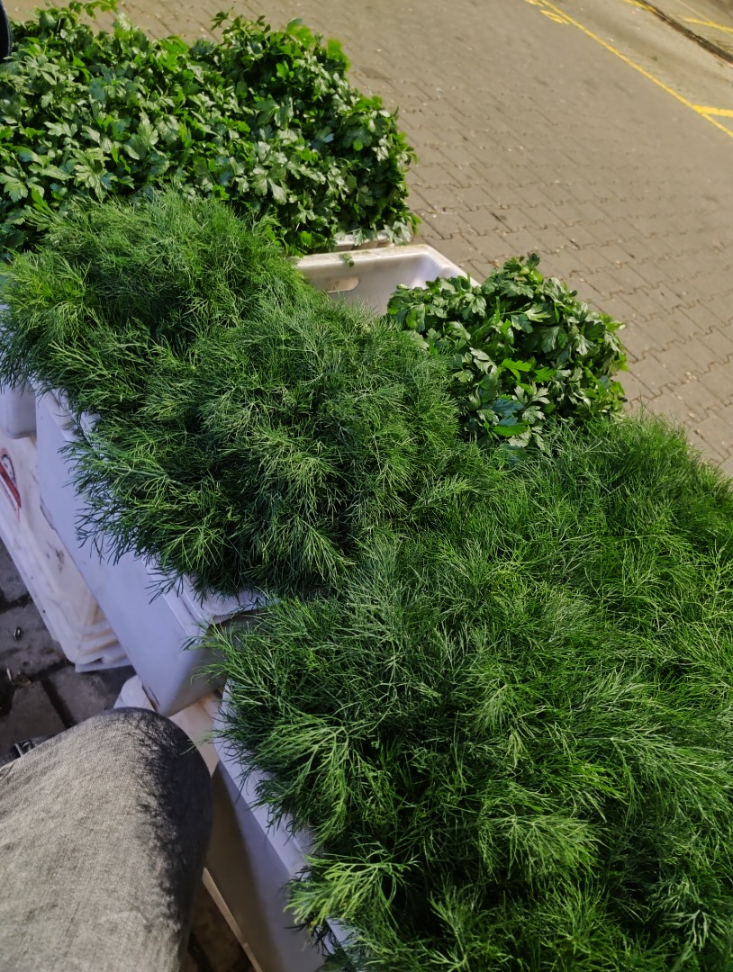 W ofercie nać pietruszki, młody koper