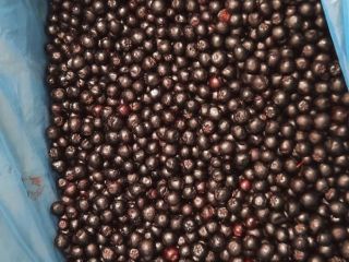 Aronia mrożona kl.1 - ekologiczna i konwencjonalna. Ilości całosamochodowe,