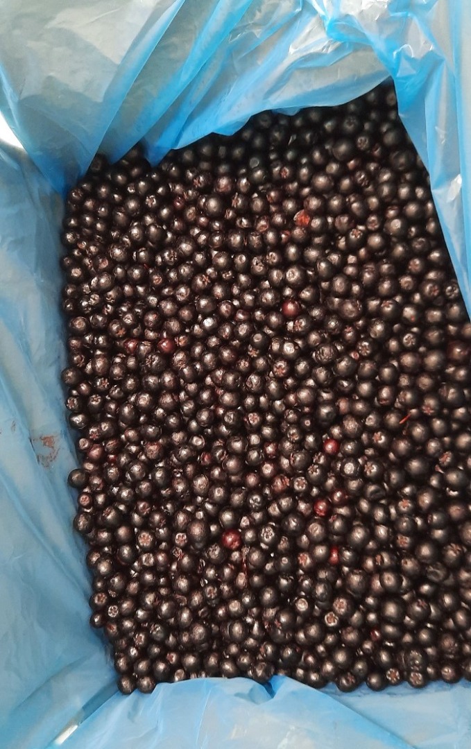 Aronia mrożona kl.1 - ekologiczna i konwencjonalna
