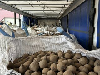 Oferujemy buraki w big bagach lub małych workach. Celiber