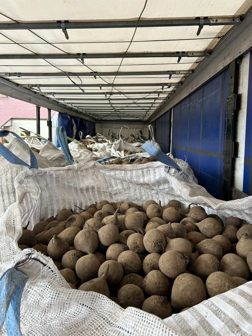 Oferujemy buraki w big bagach lub małych workach