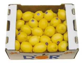 Goicha Company offers fresh lemons of Azerbaijani origin for