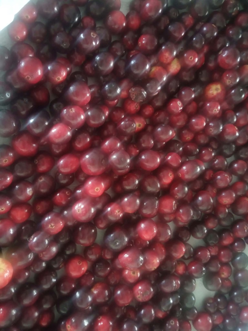 Sprzedam świeżą zurawine