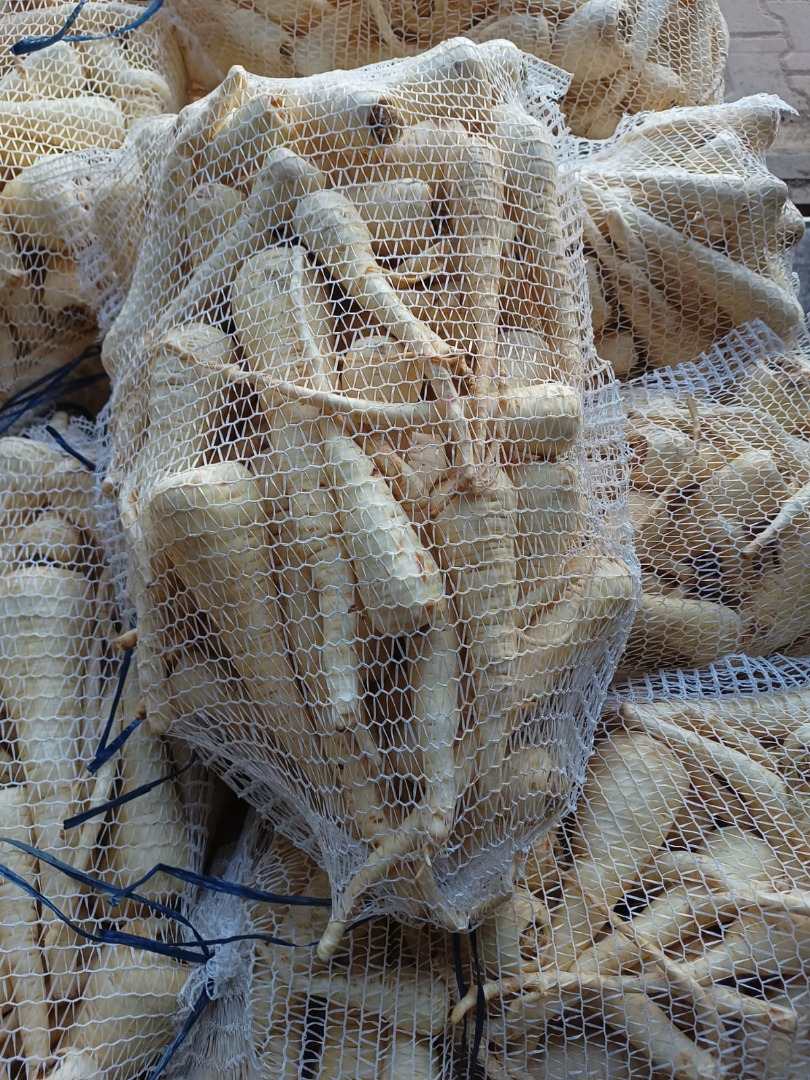 Oferuję do sprzedaży świeży pasternak z tegorocznych zbiorów