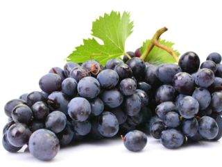 Sprzedam winogrona na wino - odszypułkowane w cenie -