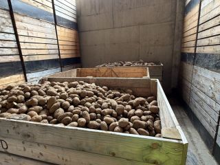 HURTOWA SPRZEDAŻ ZIEMNIAKÓW – POLSKA I UE Oferujemy wysokiej